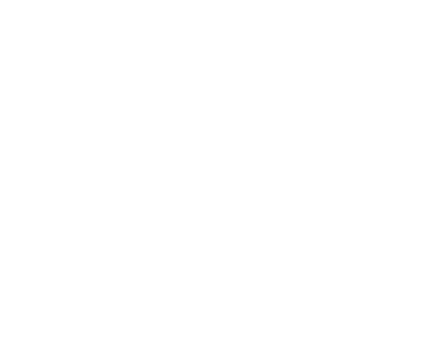 Dasa - 4MDG